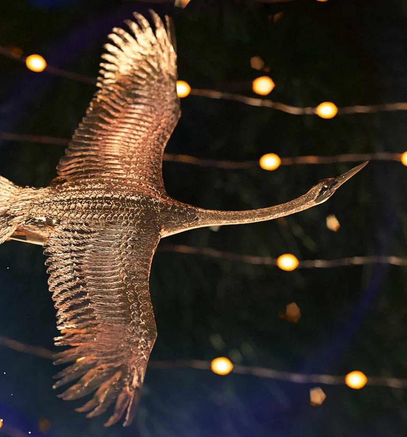 Projet Evidens de beauté, motion design cosm&eacute;tique 3D